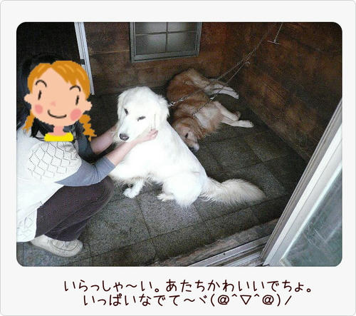 img20081103194134759.jpg