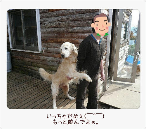 img20081103194204787.jpg