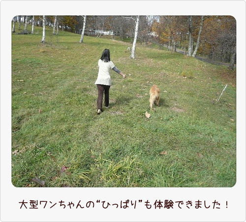 img20081103194404288.jpg