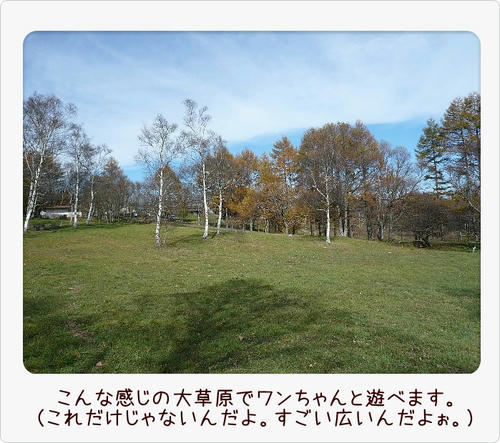 img20081103194434276.jpg