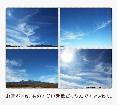 img20081103195906489.jpg