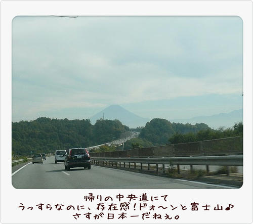 img20081103200726585.jpg