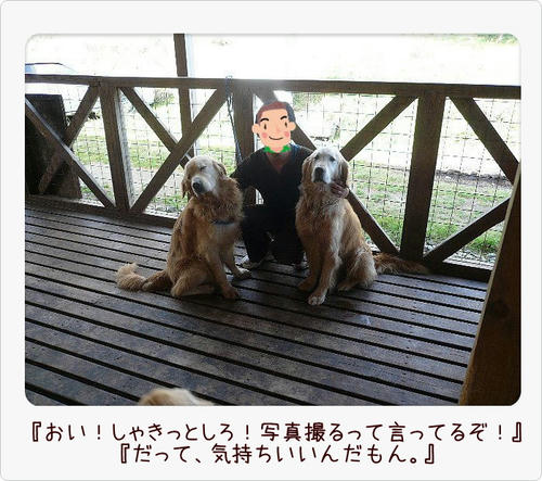 img20081103194232866.jpg