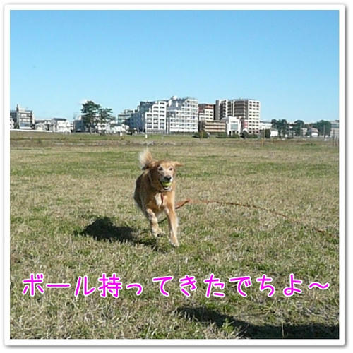 P1070103.JPG