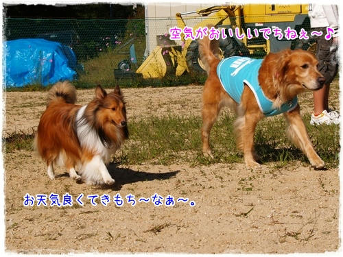 img20090926113940992.jpg