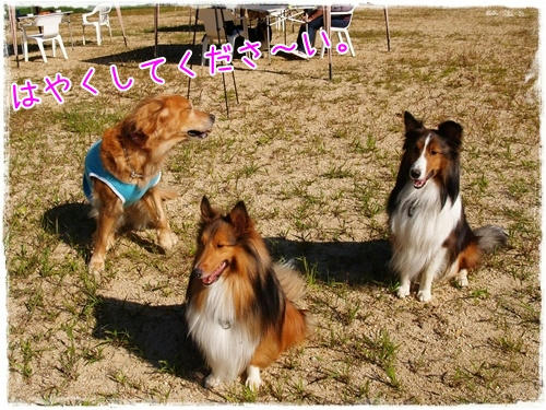img20090926114006731.jpg