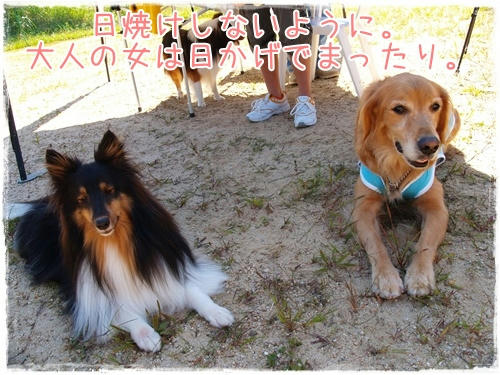 img20090926114334426.jpg
