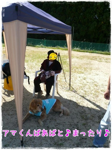 img20090926114459837.jpg