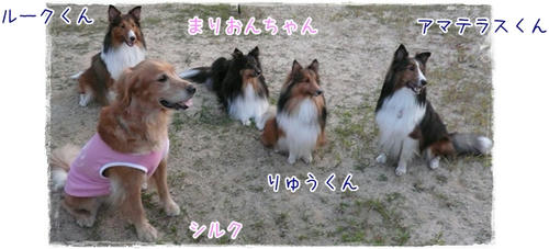 img20090923202642911.jpg