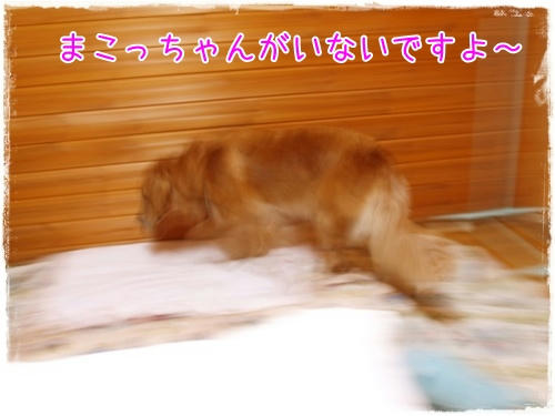 img20090923202949449.jpg