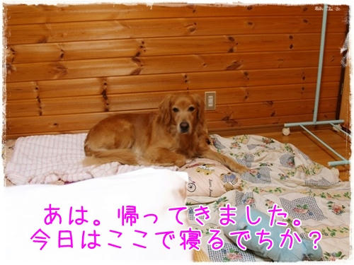 img20090923203006086.jpg