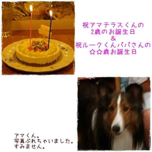 img20090923203342855.jpg
