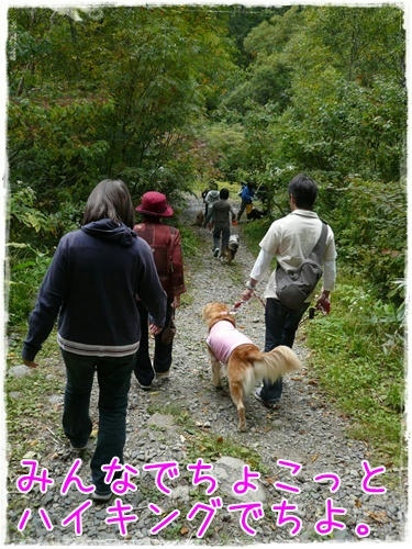 img20090922182441770.jpg
