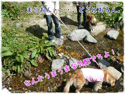 img20090922182731831.jpg