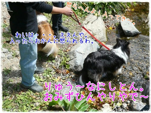 img20090922182810071.jpg
