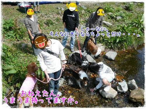 img20090922182904183.jpg