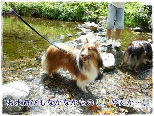 img20090922183011764.jpg