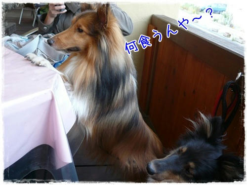 img20090922185243120.jpg