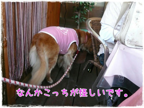 img20090922185307938.jpg