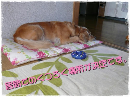 img20090908192920791.jpg