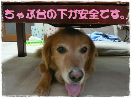 img20090908193918185.jpg