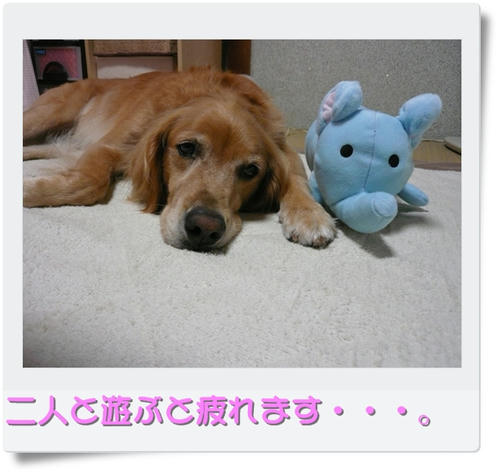 img20090901203352169.jpg