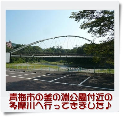 img20090831175357894.jpg