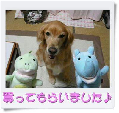 img20090831182254127.jpg