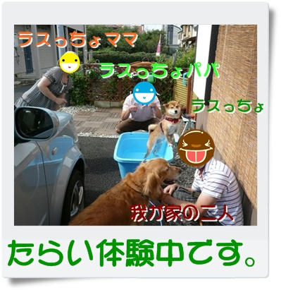 img20090823192516745.jpg