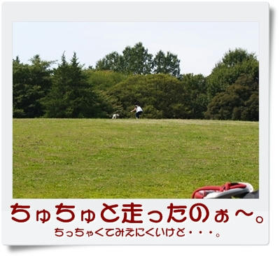 img20090823193639962.jpg