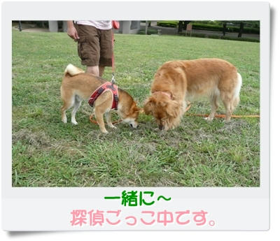 img20090823194555842.jpg