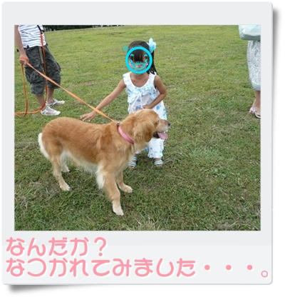 img20090823194825733.jpg