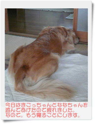 img20090823204343043.jpg