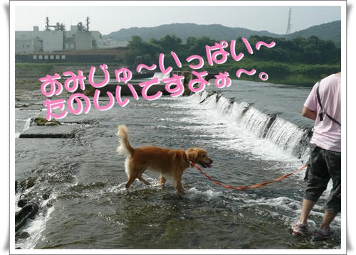 img20090822223614535.jpg