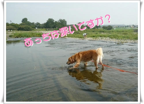 img20090822223906744.jpg