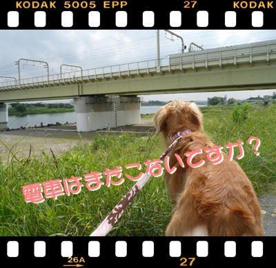 img20090821191542520.jpg