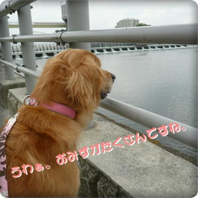 img20090821191646750.jpg