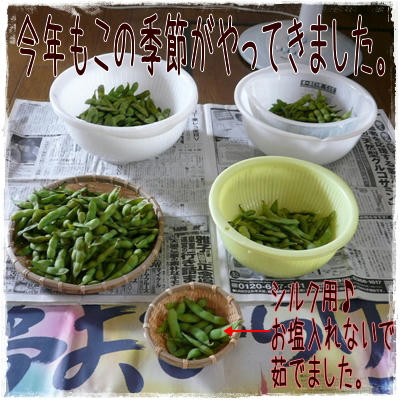 img20090801194316631.jpg