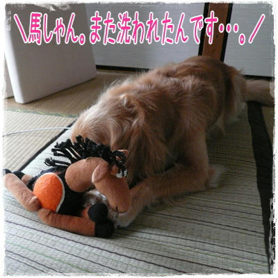 img20090801200510839.jpg
