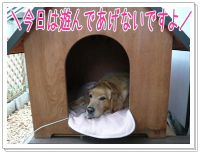 img20090702181343864.jpg