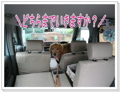 img20090702181611275.jpg