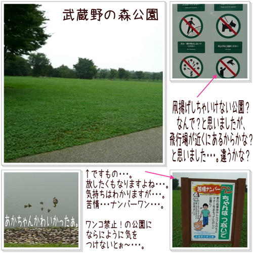 img20090702190413384.jpg