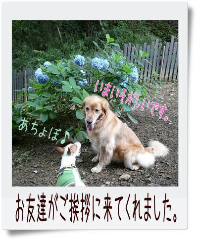 img20090705213934239.jpg