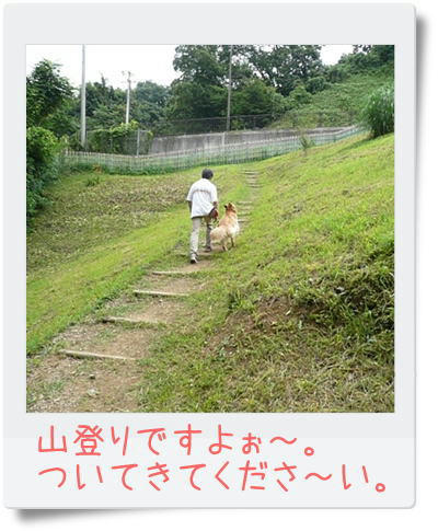 img20090705214539332.jpg