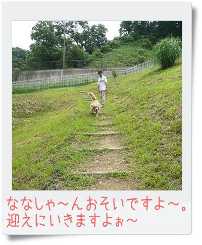 img20090705214618176.jpg