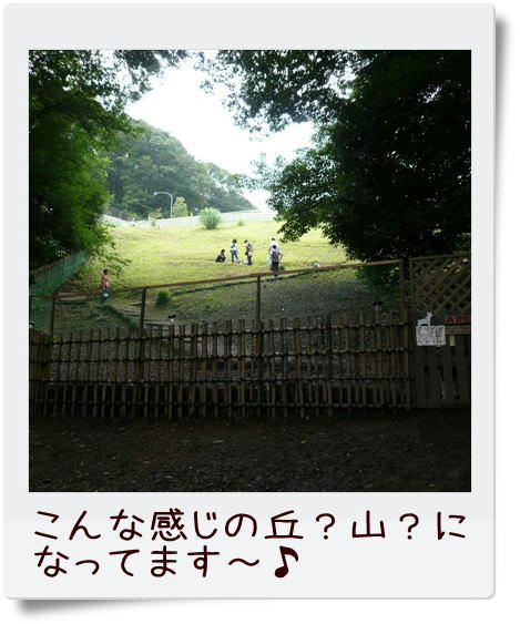 img20090705220702706.jpg