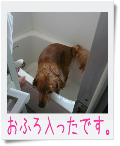 img20090706180115371.jpg