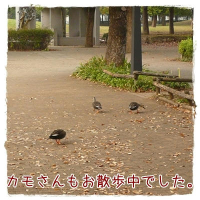 P1070226.JPG