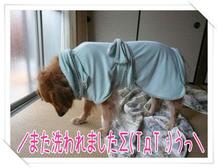 img20090712203832390.jpg