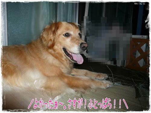 img20090717222532430.jpg
